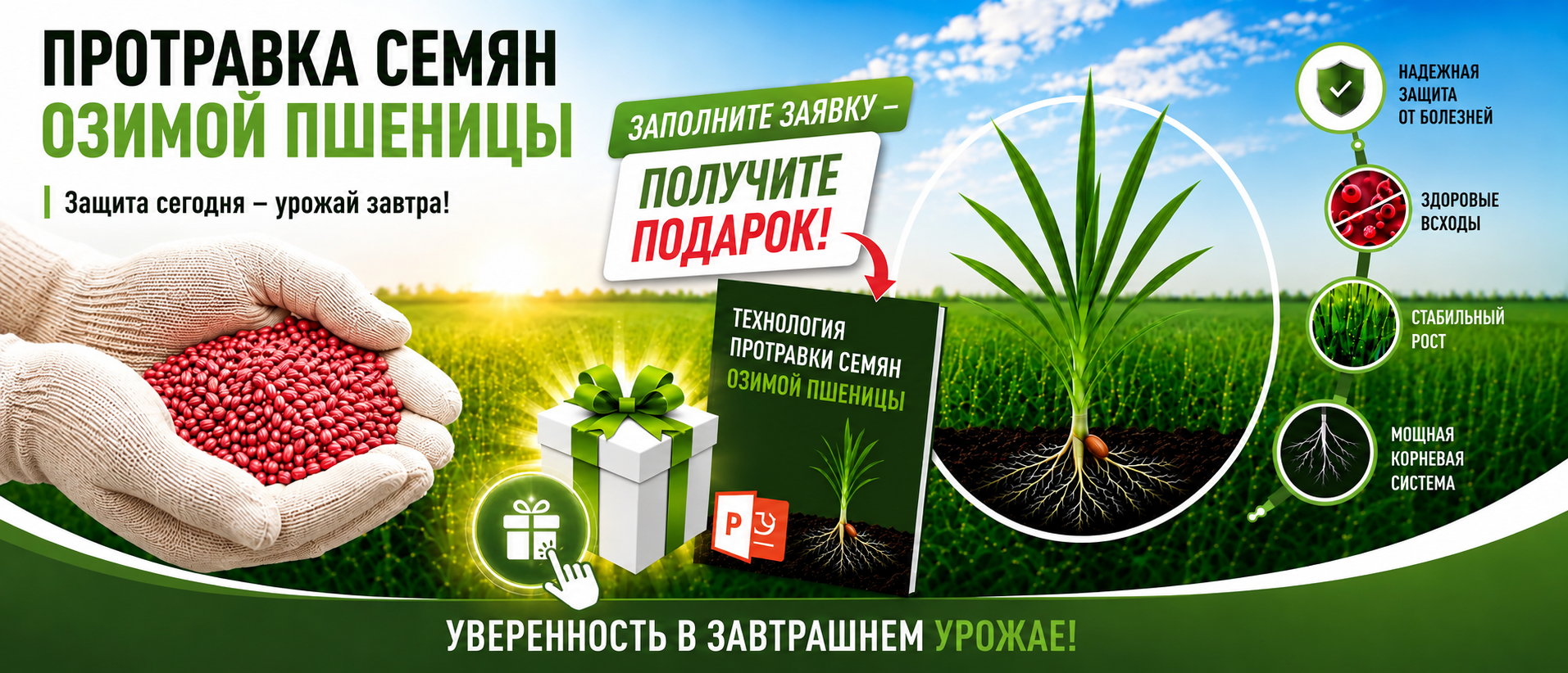 Протравливание семян