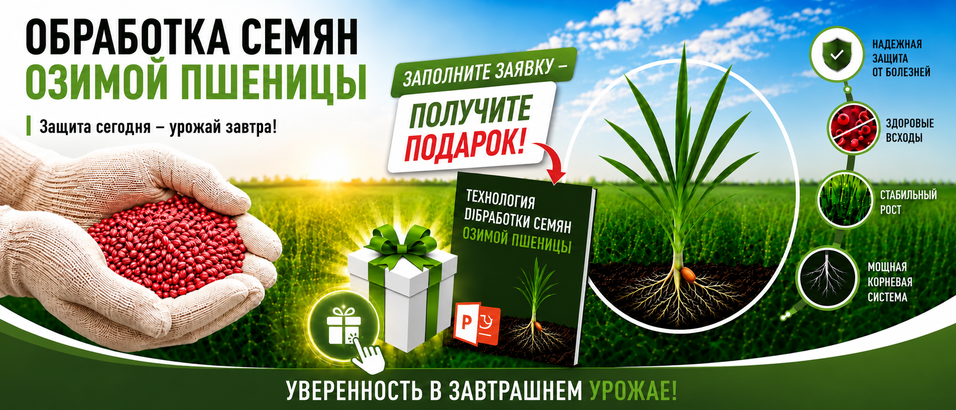 Протравливание семян