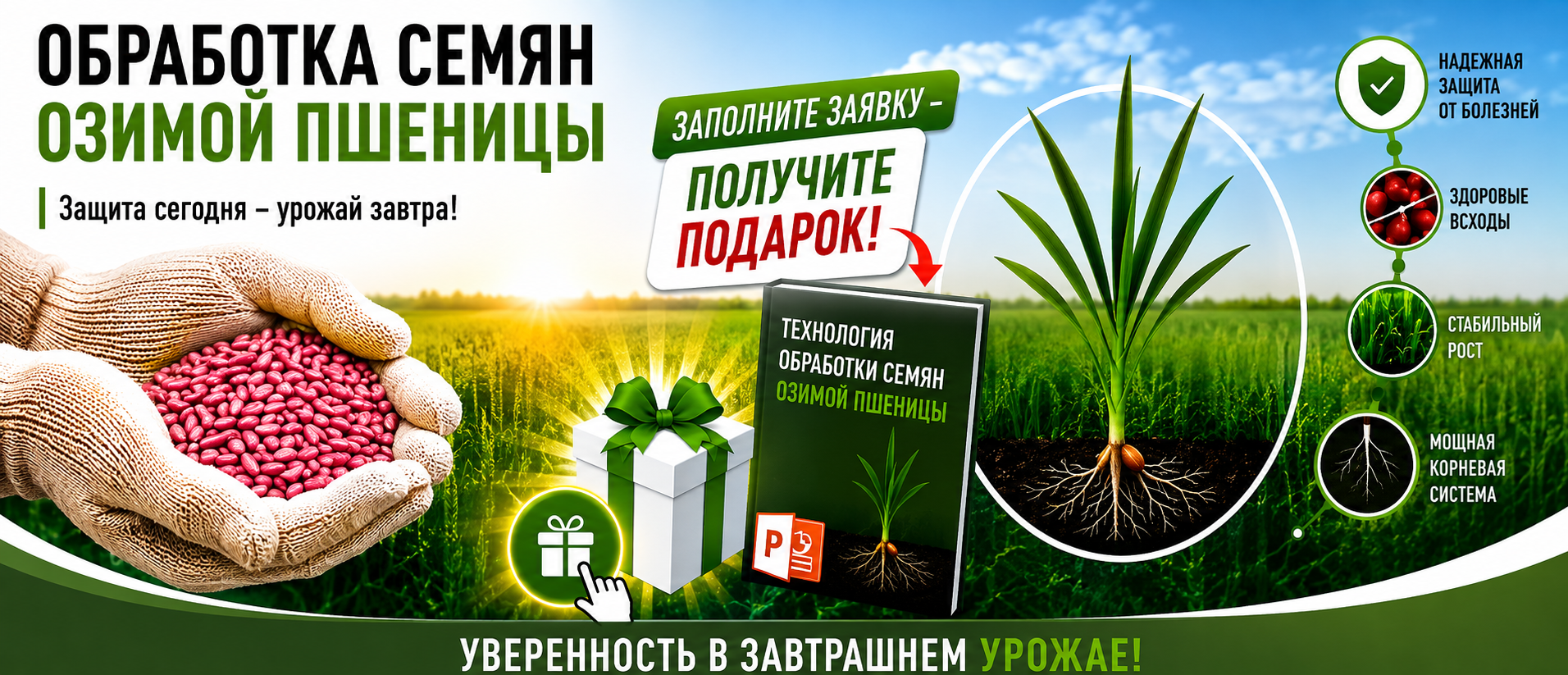 Протравливание семян